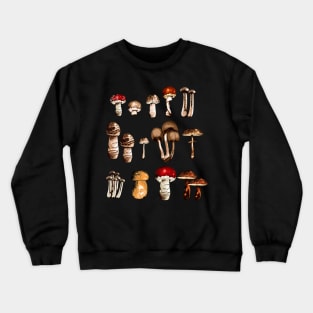 Mushroom Picker Mushrooms Collection Nature Lover Crewneck Sweatshirt